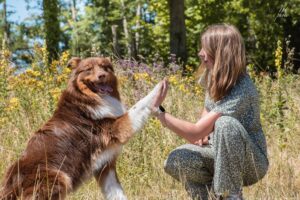 Tours avec Sirius chien