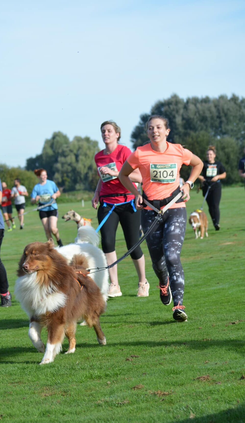 Depart course woof run